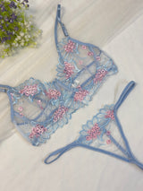 Ice Blue Embroidered Net Bra Set